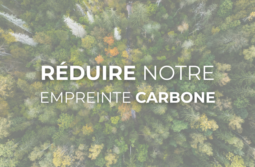Forêt vue de haut empreinte carbone